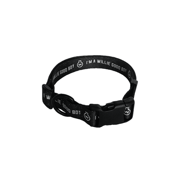 "I'm a Willie Good Boy" Dog Collar