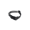 "I'm a Willie Good Boy" Dog Collar