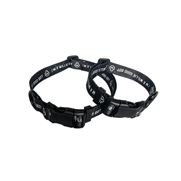 "I'm a Willie Good Boy" Dog Collar