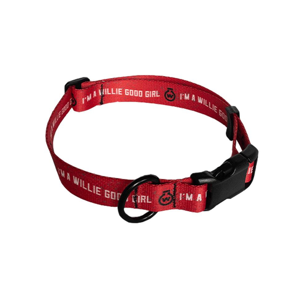 "I'm a Willie Good Girl" Dog Collar