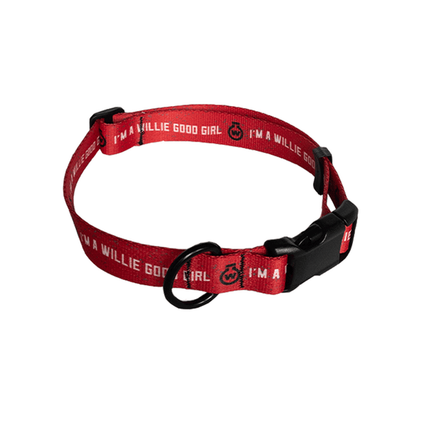 "I'm a Willie Good Girl" Dog Collar