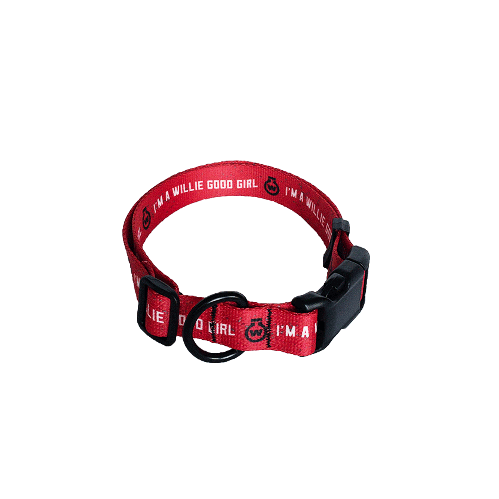 "I'm a Willie Good Girl" Dog Collar