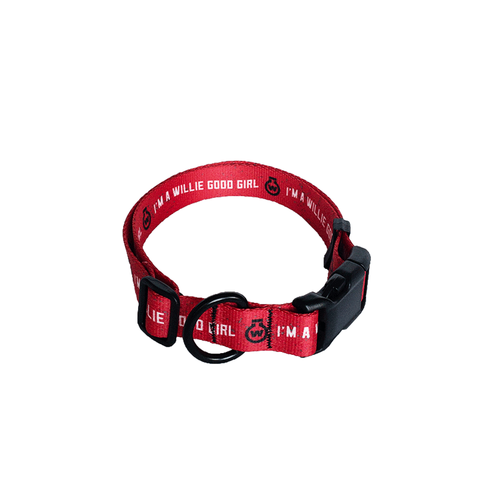 Good to discount go collar
