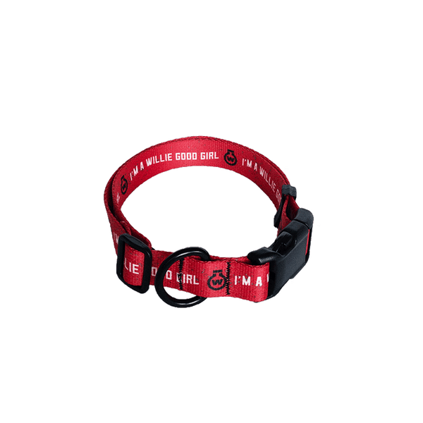 "I'm a Willie Good Girl" Dog Collar