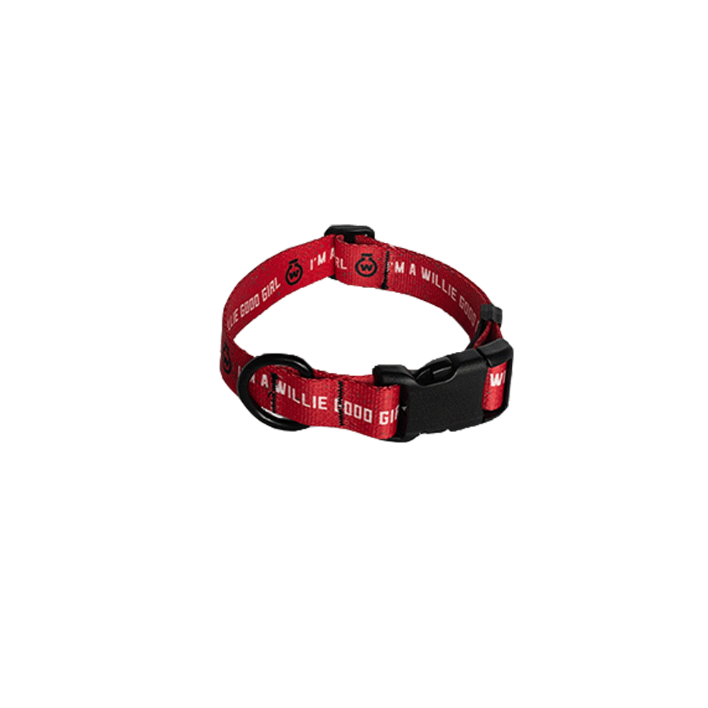 "I'm a Willie Good Girl" Dog Collar