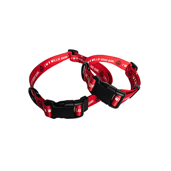 "I'm a Willie Good Girl" Dog Collar