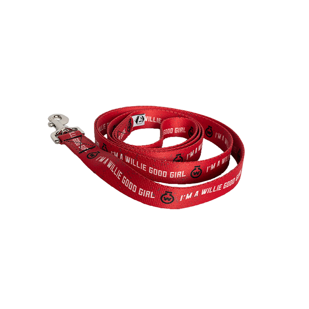 "I'm A Willie Good Girl" Dog Leash